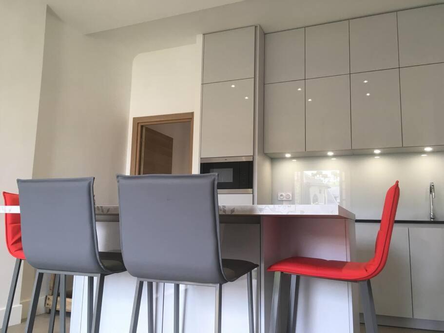 Ma Terrasse Sur Le Musee Apartment Chambery Ngoại thất bức ảnh